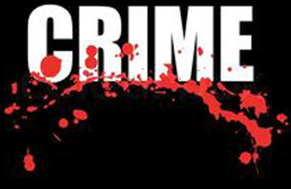 संगमनेरमध्ये एलसीबीचा कत्तलखान्यावर धडाकेबाज छापा; ९५० किलो गोमांस जप्त, स्थानिक पोलिसांच्या कार्यक्षमतेवर प्रश्नचिन्ह