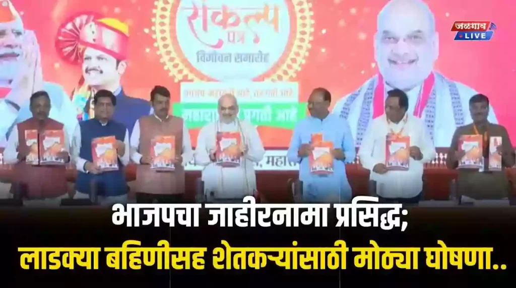 विधानसभेसाठी भाजपचा जाहीरनामा प्रसिद्ध… शेतकऱ्यांची कर्जमाफी, २५ लाख रोजगार; महिला आणि वृद्धांना दरमहा २१०० रुपयांसह आणखी बरच काही…