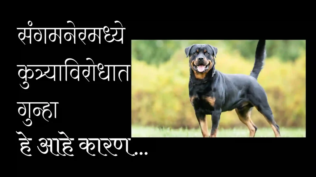 अजबच… संगमनेर पोलीस ठाण्यात एका डॉक्टरच्या कुत्र्याविरोधात गुन्हा, हे आहे कारण…