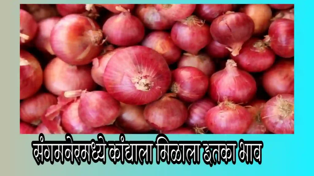 संगमनेरमध्ये कांद्याला मिळाला ‘इतका’ भाव!