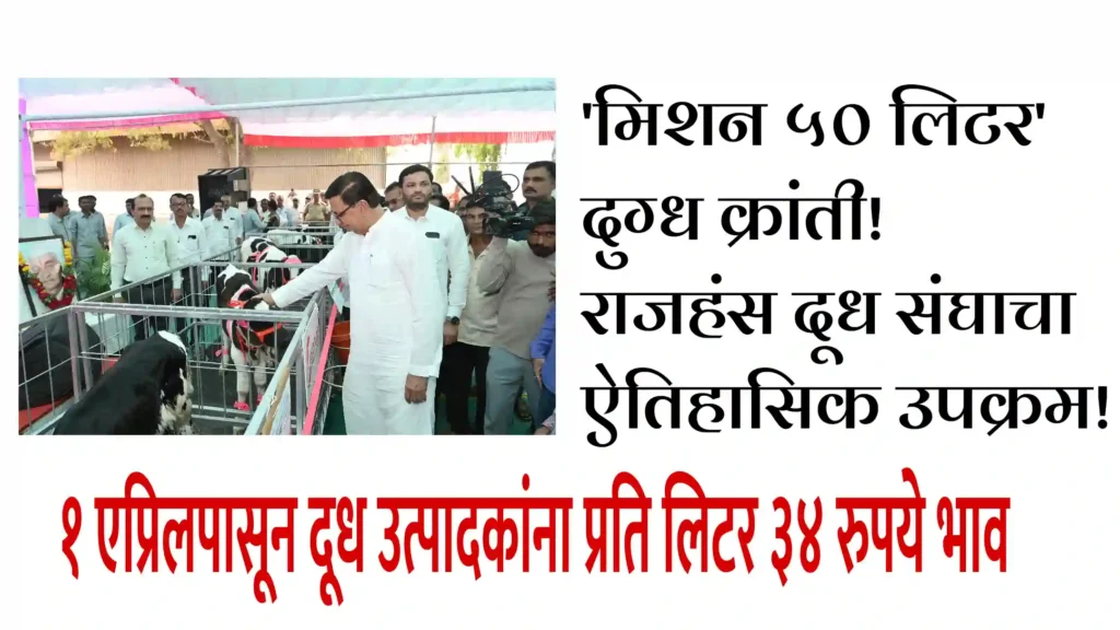 ‘मिशन ५० लिटर’ दुग्ध क्रांती! राजहंस दूध संघाचा ऐतिहासिक उपक्रम! १ एप्रिलपासून दूध उत्पादकांना प्रति लिटर ३४ रुपये भाव, माजी मंत्री बाळासाहेब थोरातांकडून राजहंस दूध संघाच्या कार्याचे कौतुक