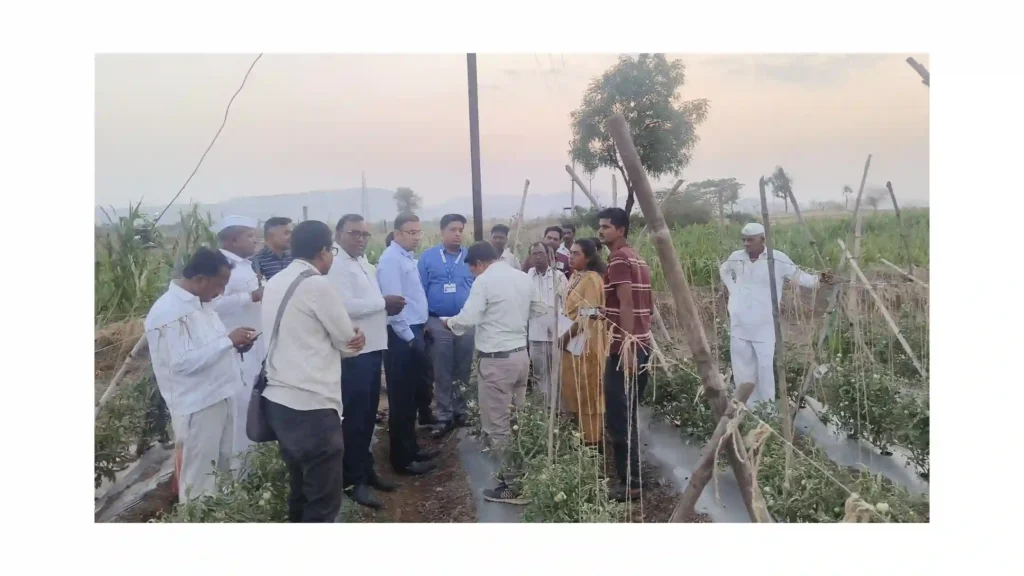 नांदुरी दुमाला व मिर्झापूरमध्ये गारपिटीने झालेल्या नुकसानीची जिल्हाधिकाऱ्यांनी केली पाहणी; तातडीने मदतीचे आश्वासन
