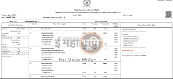 सातबाऱ्यावरील कालबाह्य नोंदी हटवणार, ‘जिवंत ७/१२’ चा दुसरा टप्पा सुरू