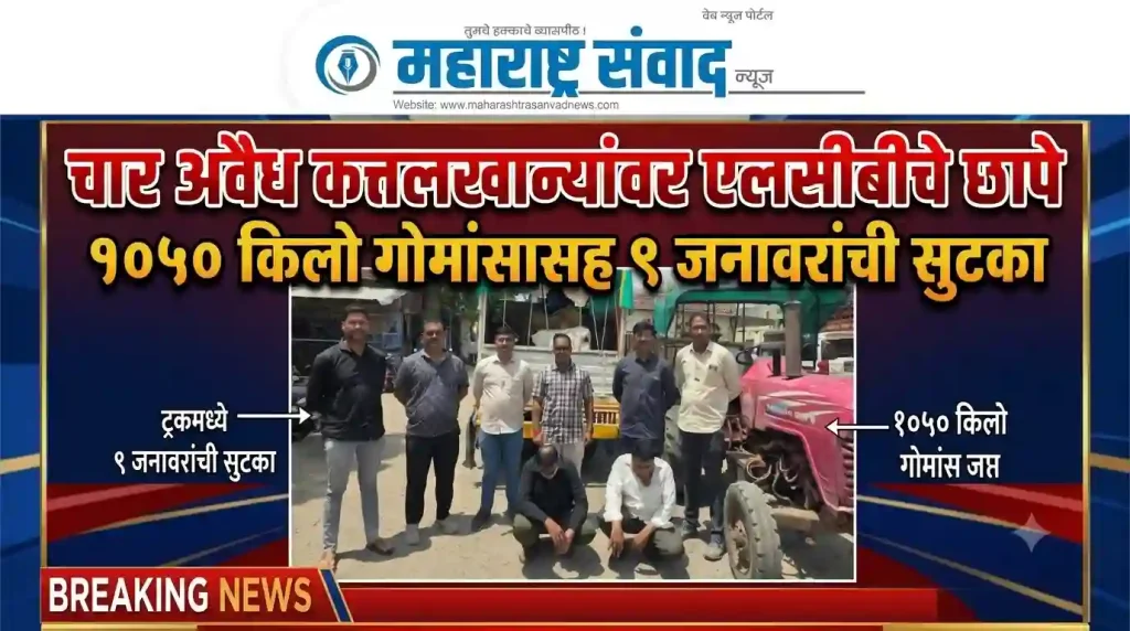 चार अवैध कत्तलखान्यांवर एलसीबीचे छापे, १०५० किलो गोमांसासह ९ जनावरांची सुटका