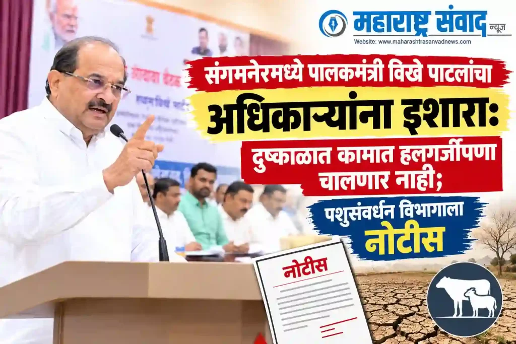 संगमनेरमध्ये पालकमंत्री विखे पाटलांचा अधिकाऱ्यांना इशारा: दुष्काळात कामात हलगर्जीपणा चालणार नाही; पशुसंवर्धन विभागाला नोटीस